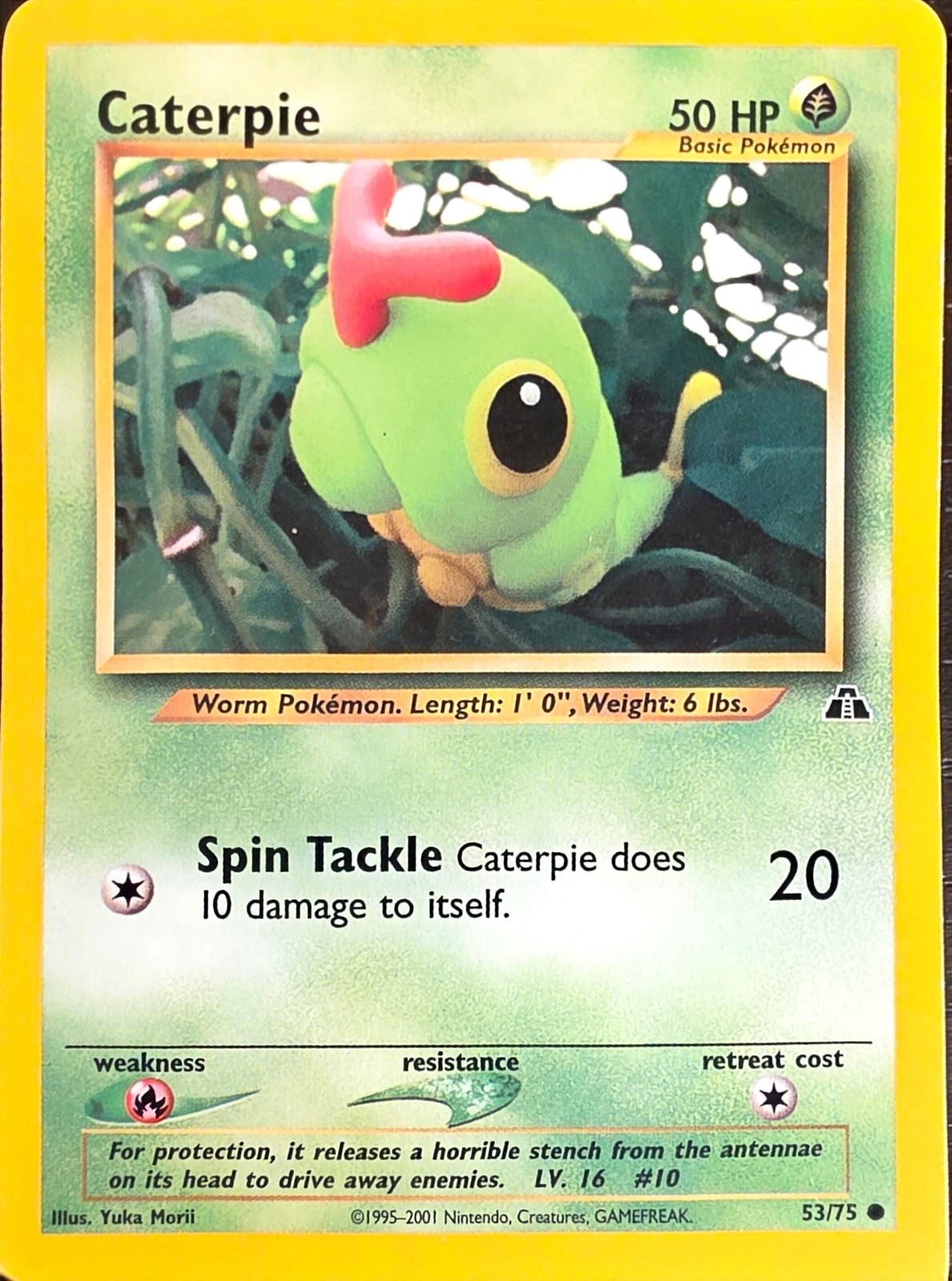 Caterpie front
