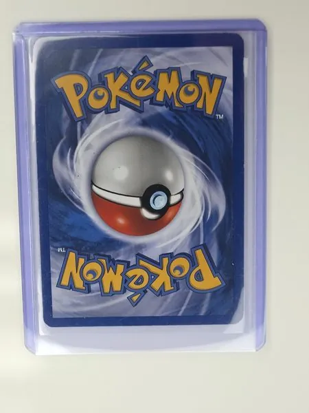 Dark Dragonite sleeved back