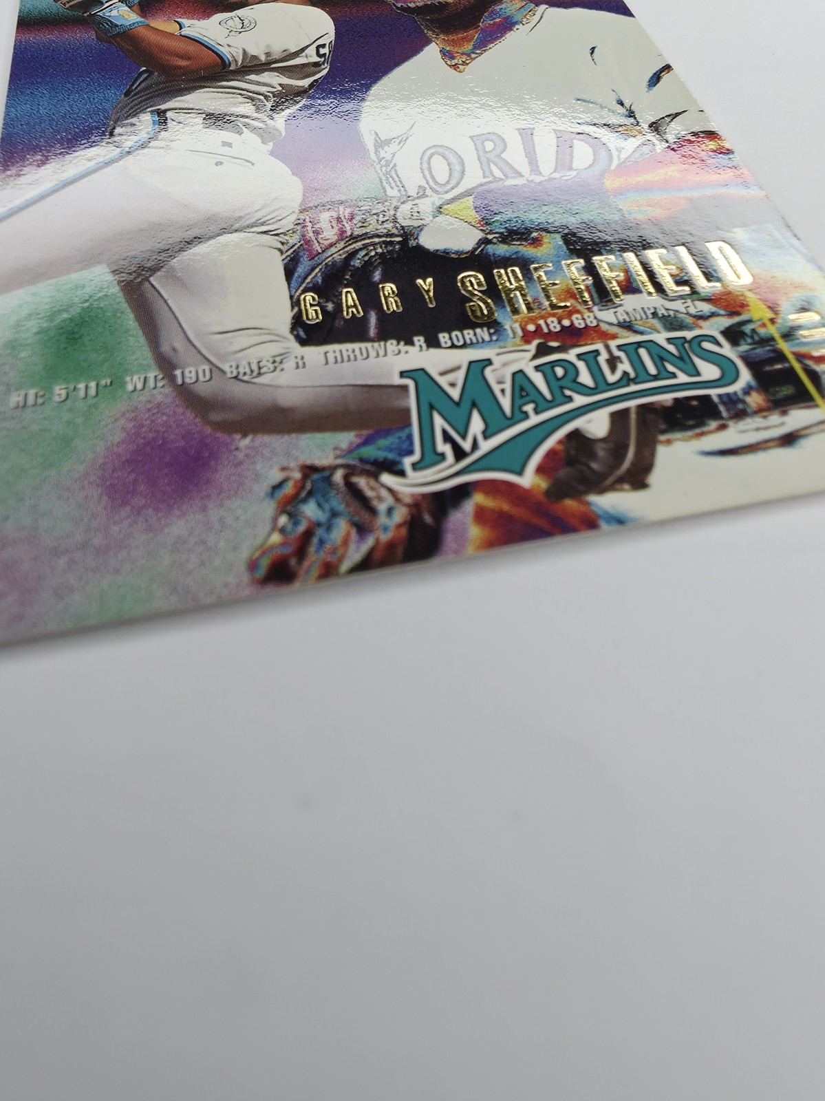 Gary Sheffield photo 3