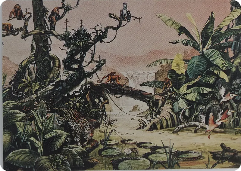 Jungle #87 front