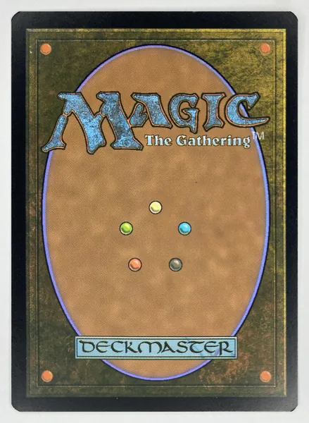 2020 Magic: The Gathering Core Set 2021 Jungle Hollow #247/274 Land back