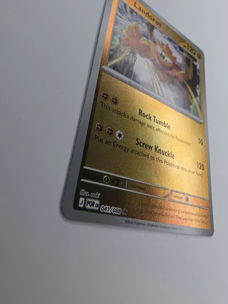 Landorus holo angle