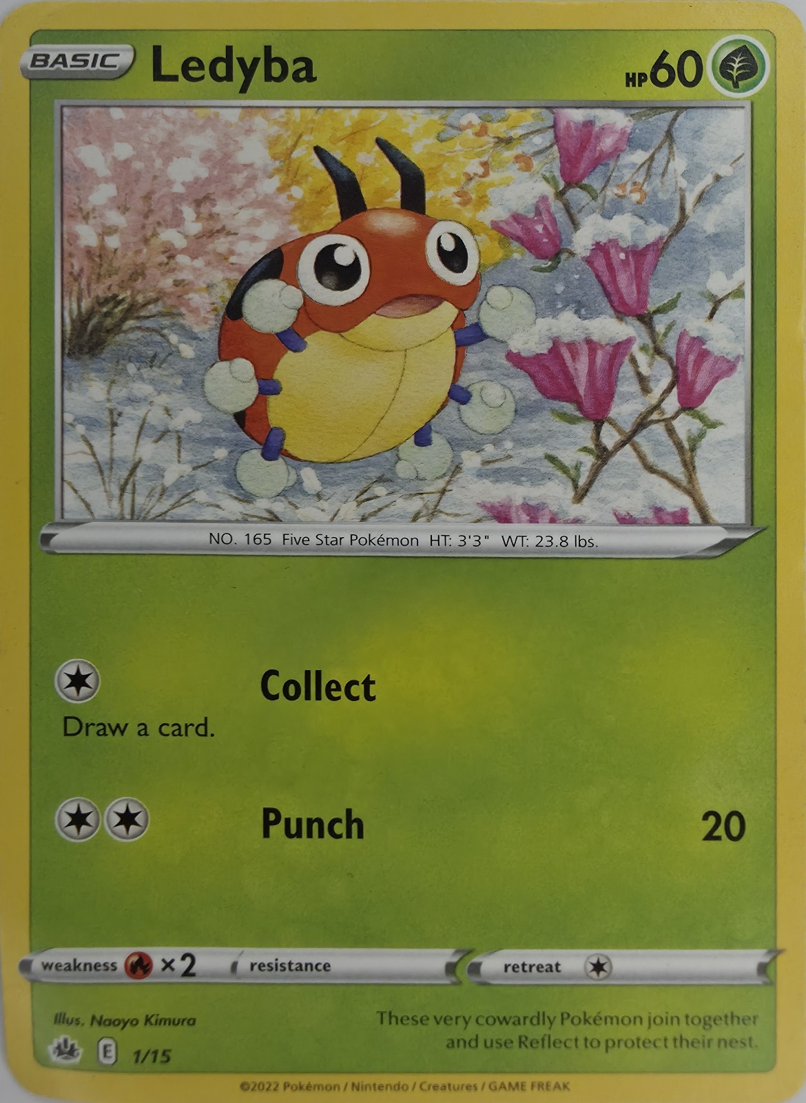 Ledyba front