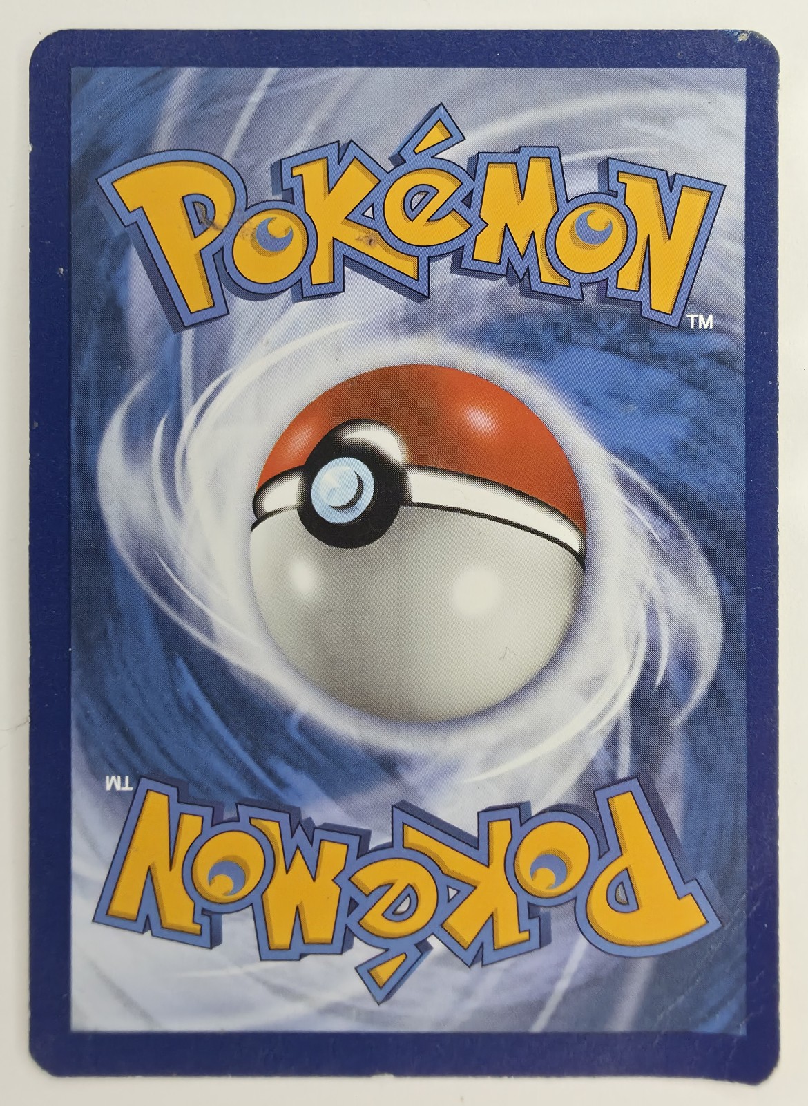 Ledyba back