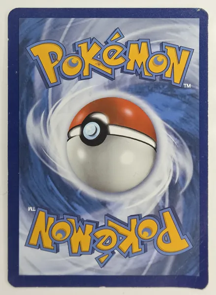 Ledyba back