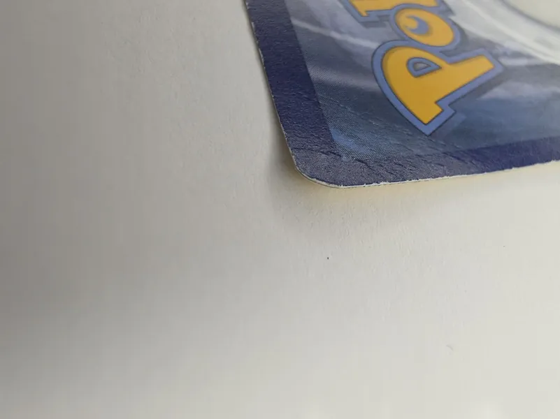 Ledyba detail corner