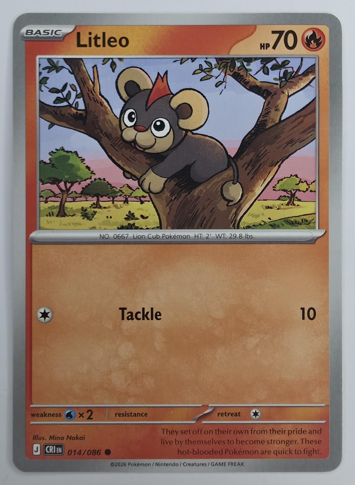 2026 Pokemon Chaos Rising Litleo #014/086 Common front