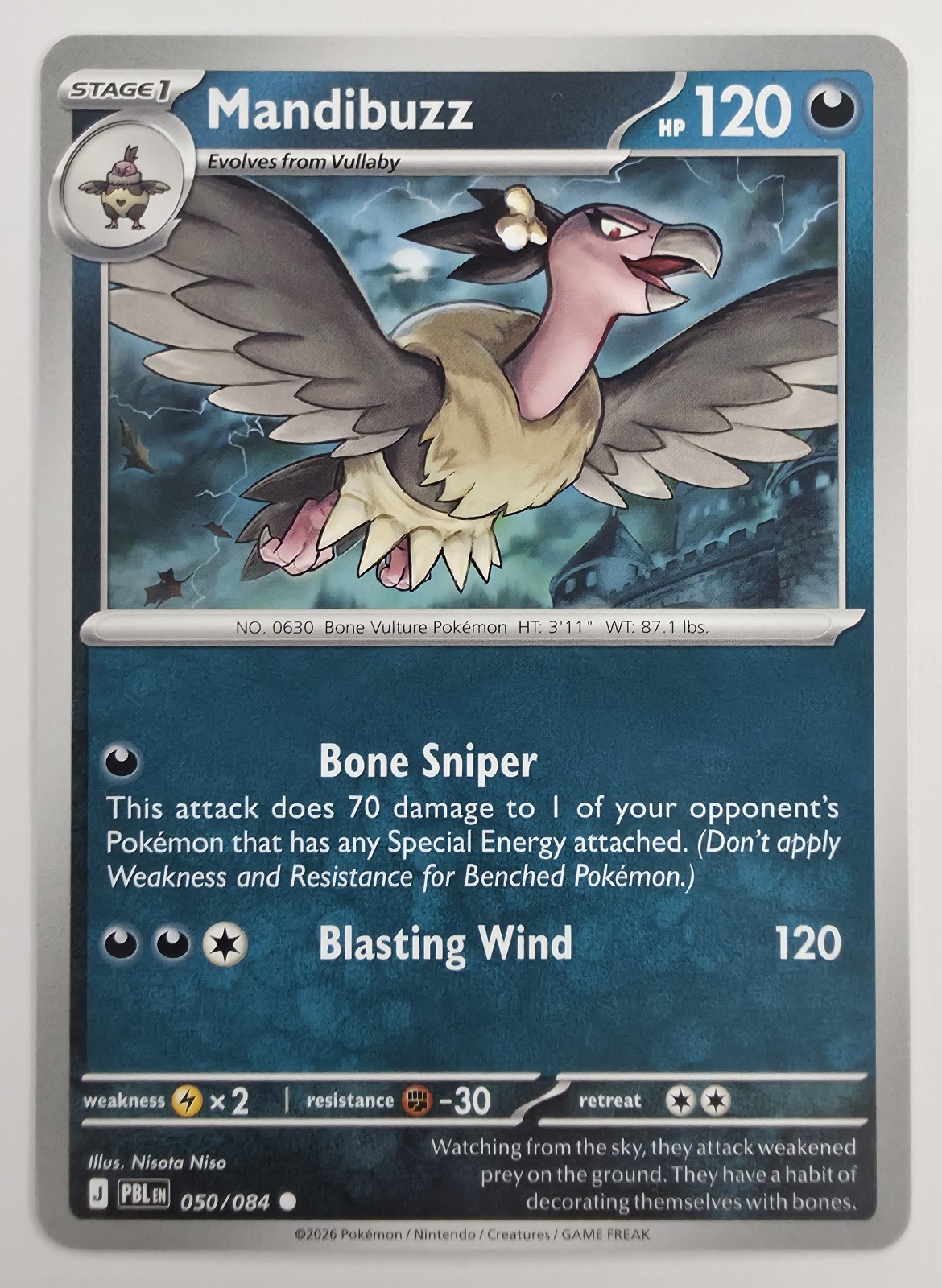 Mandibuzz front