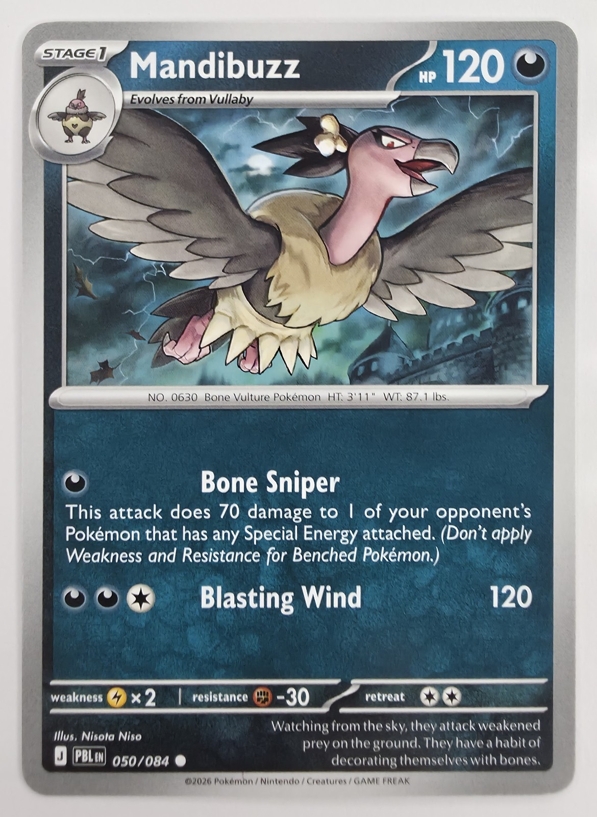 Mandibuzz front