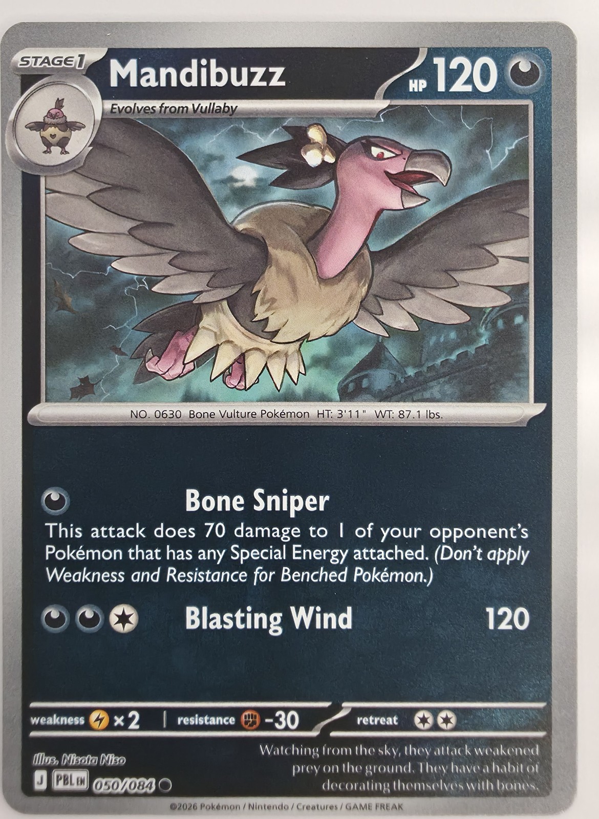 Mandibuzz front