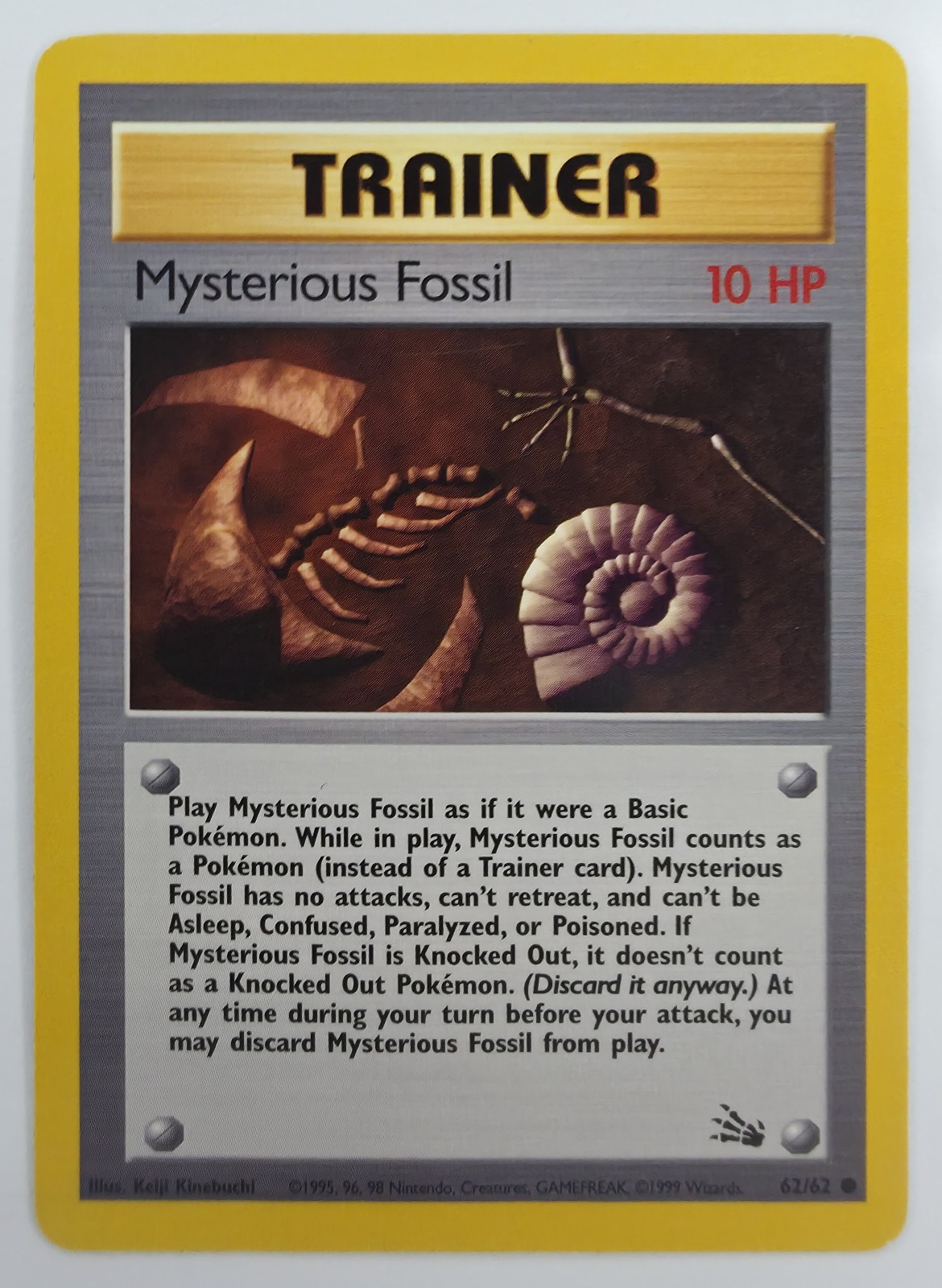 Mysterious Fossil front