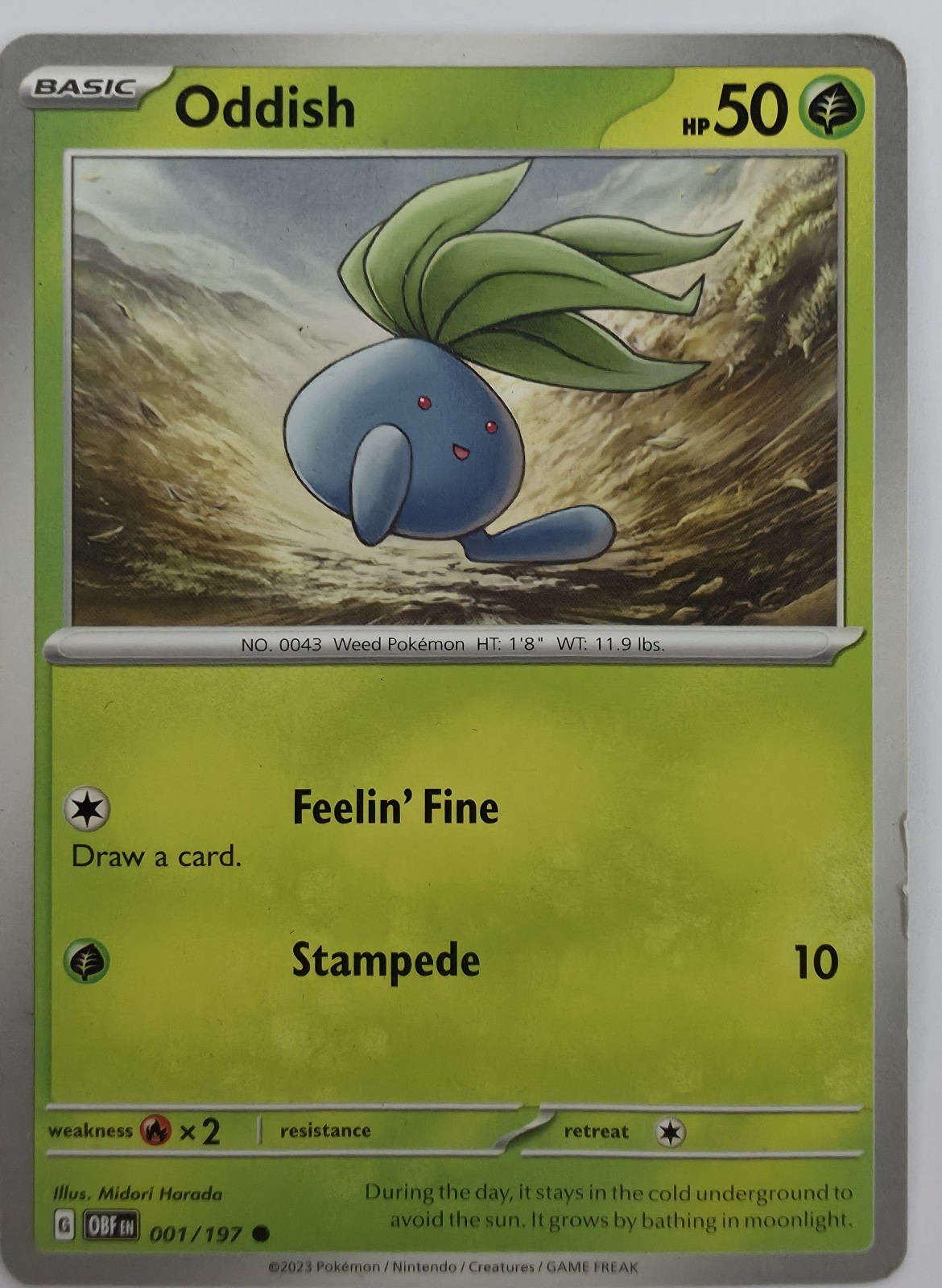 Oddish front