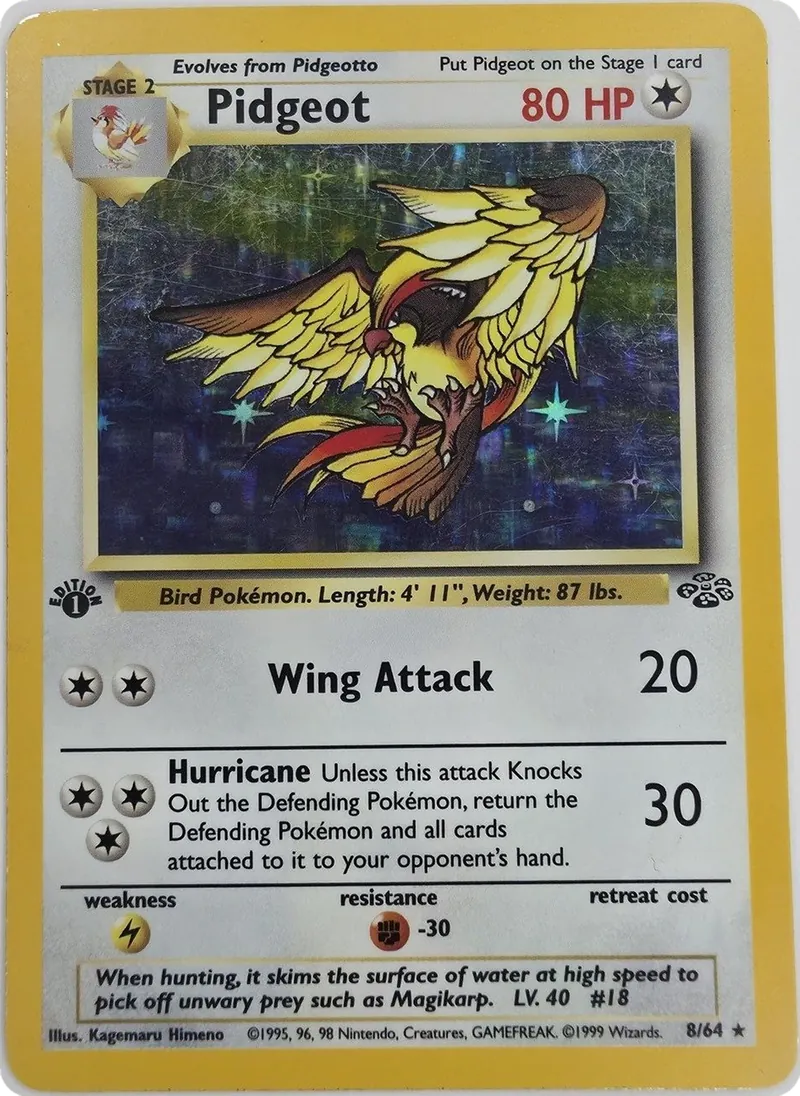 Pidgeot front
