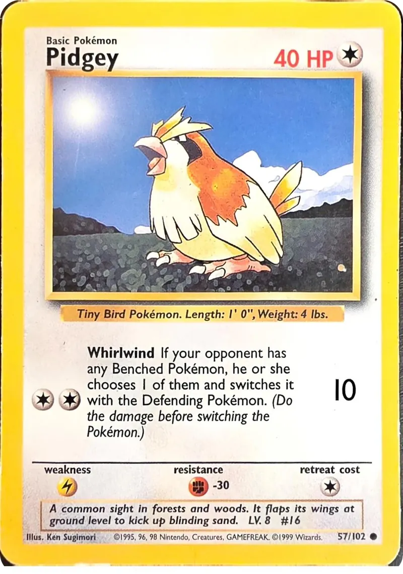 Pidgey front
