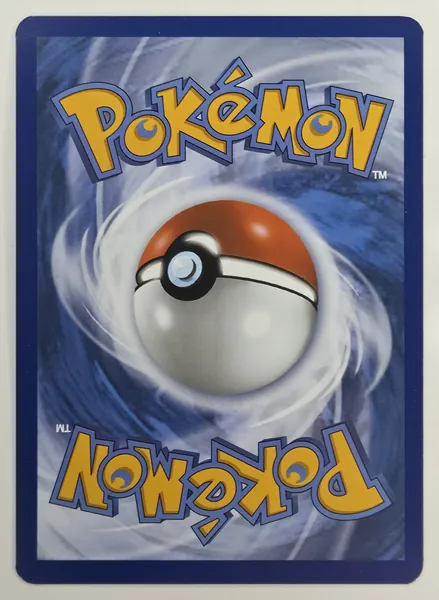Pikipek back
