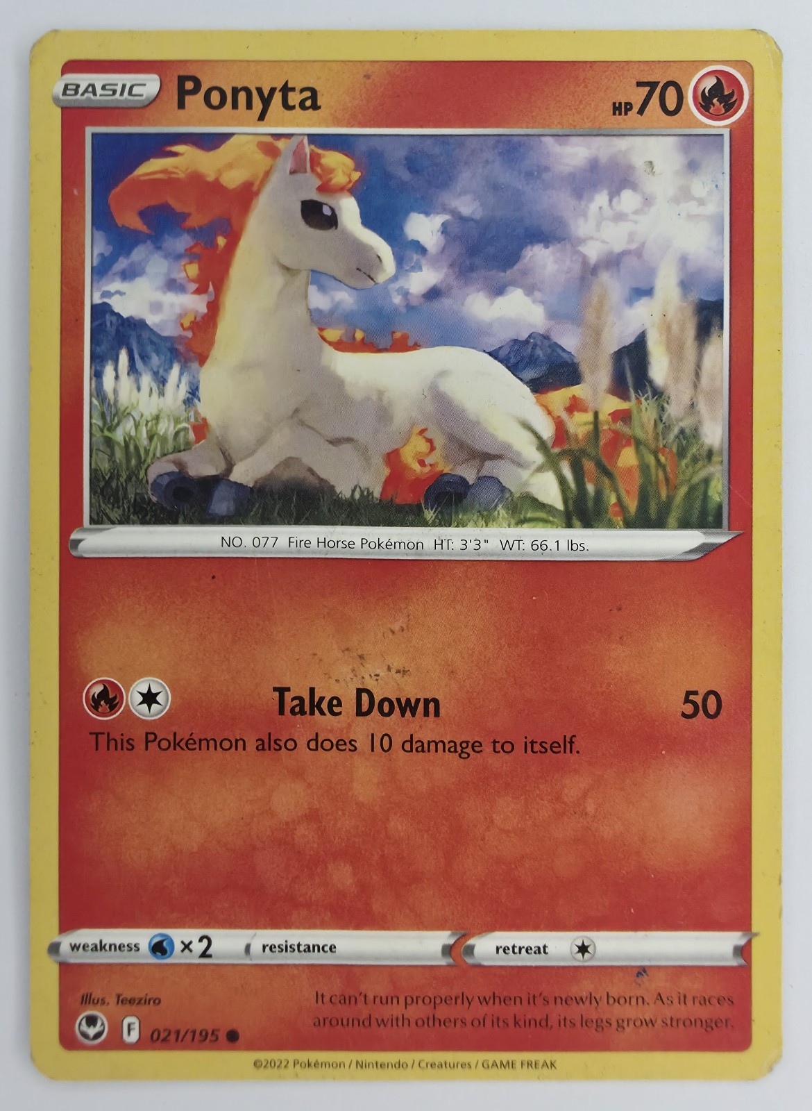Ponyta front