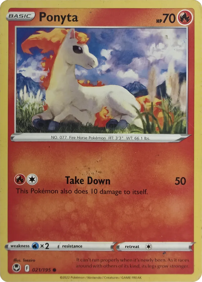 Ponyta front