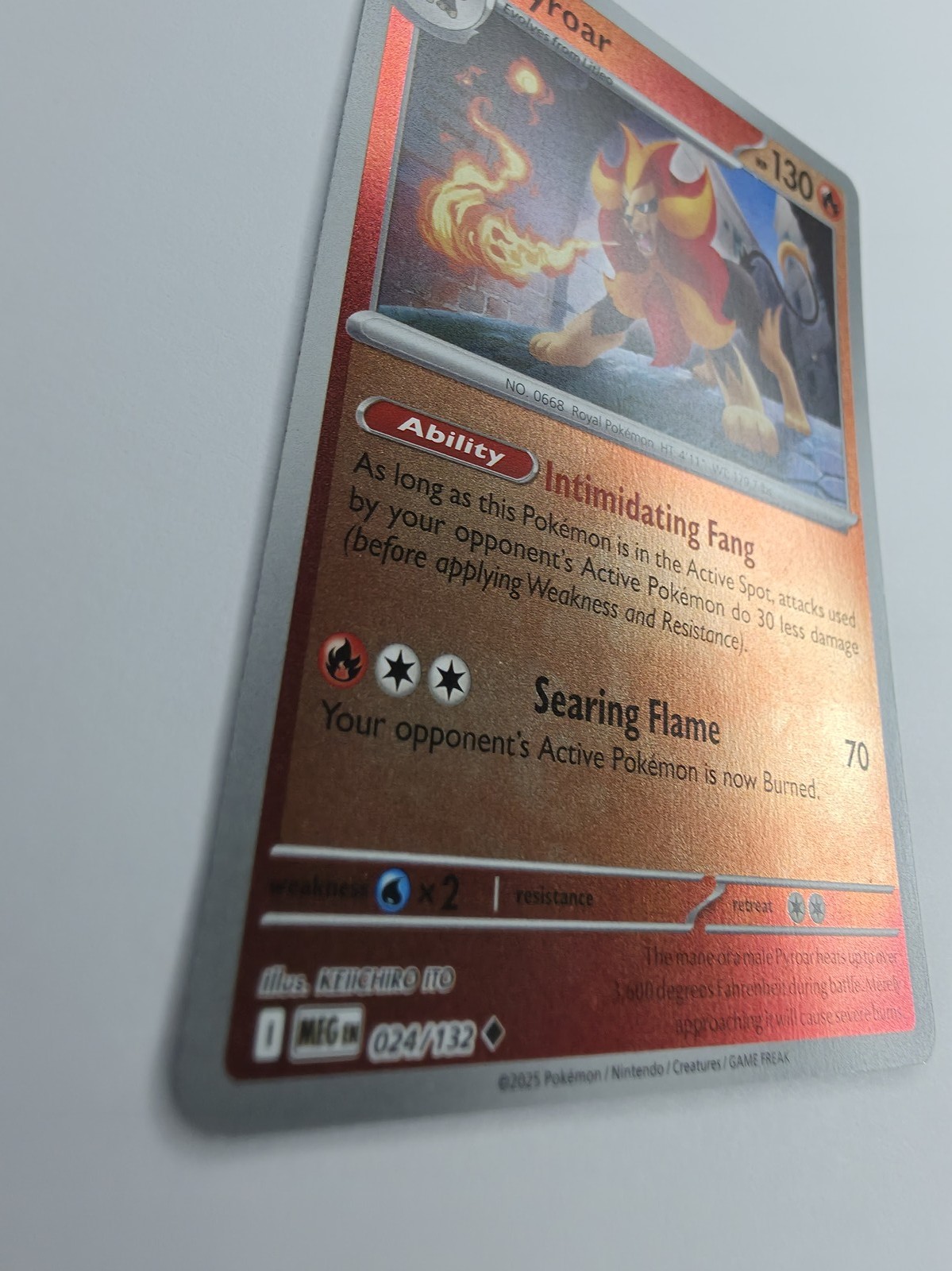 Pyroar holo angle