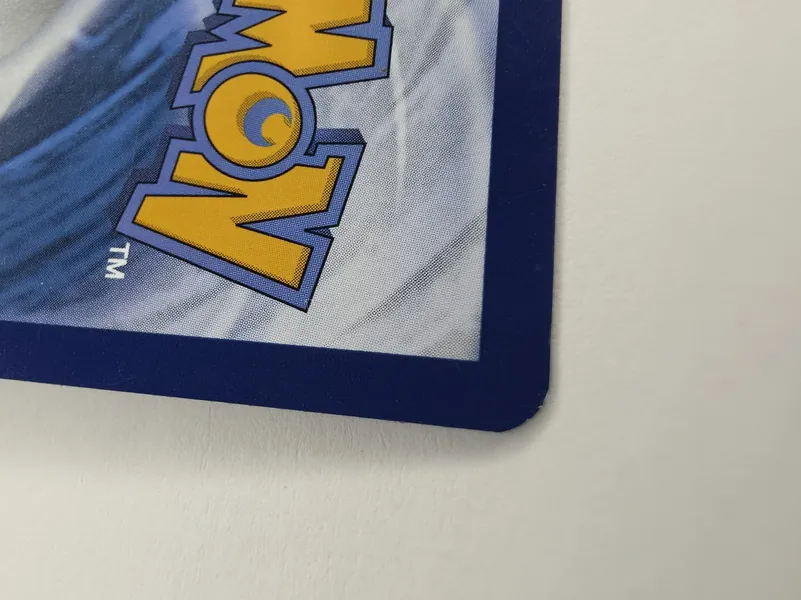 Pyroar back corner