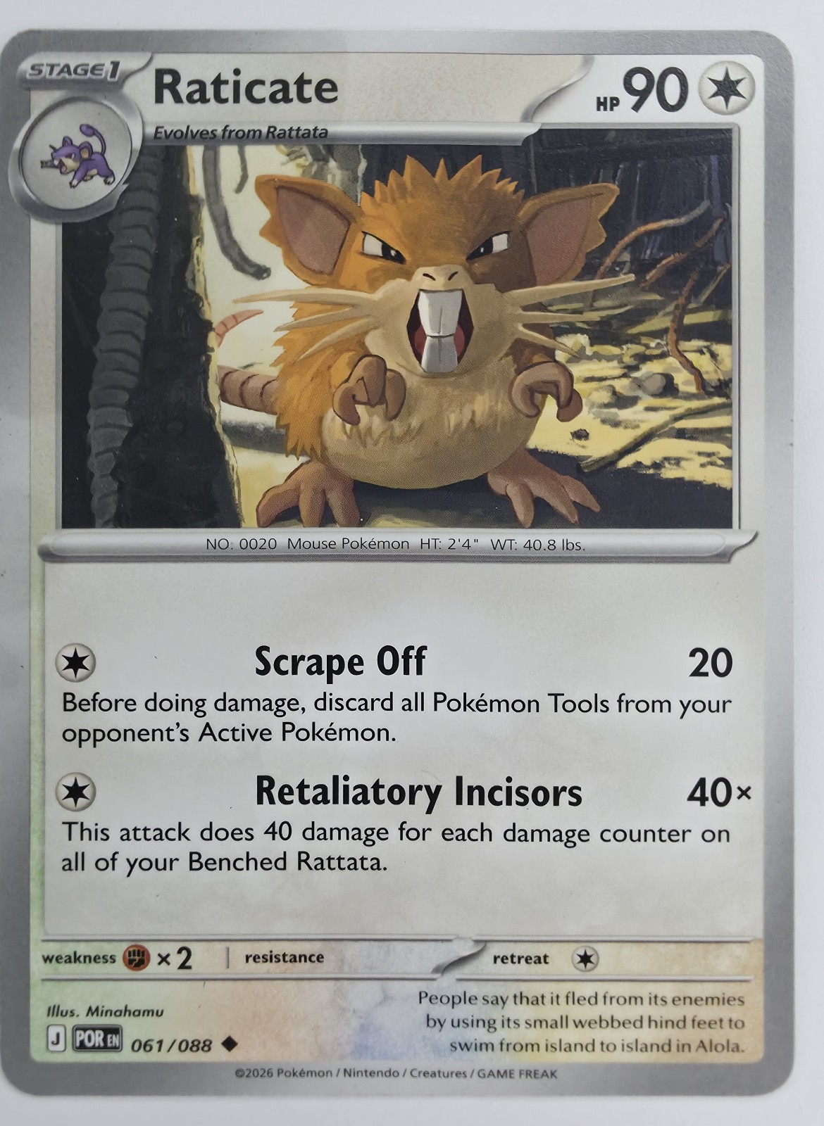 Raticate front