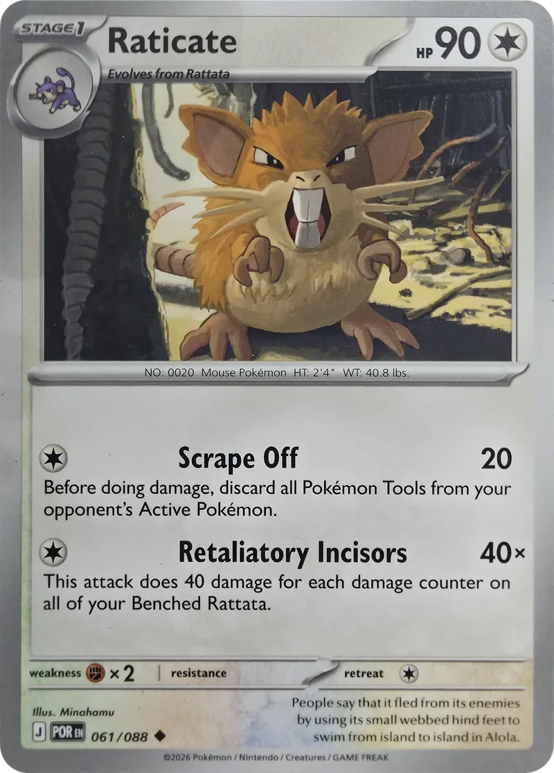 Raticate front