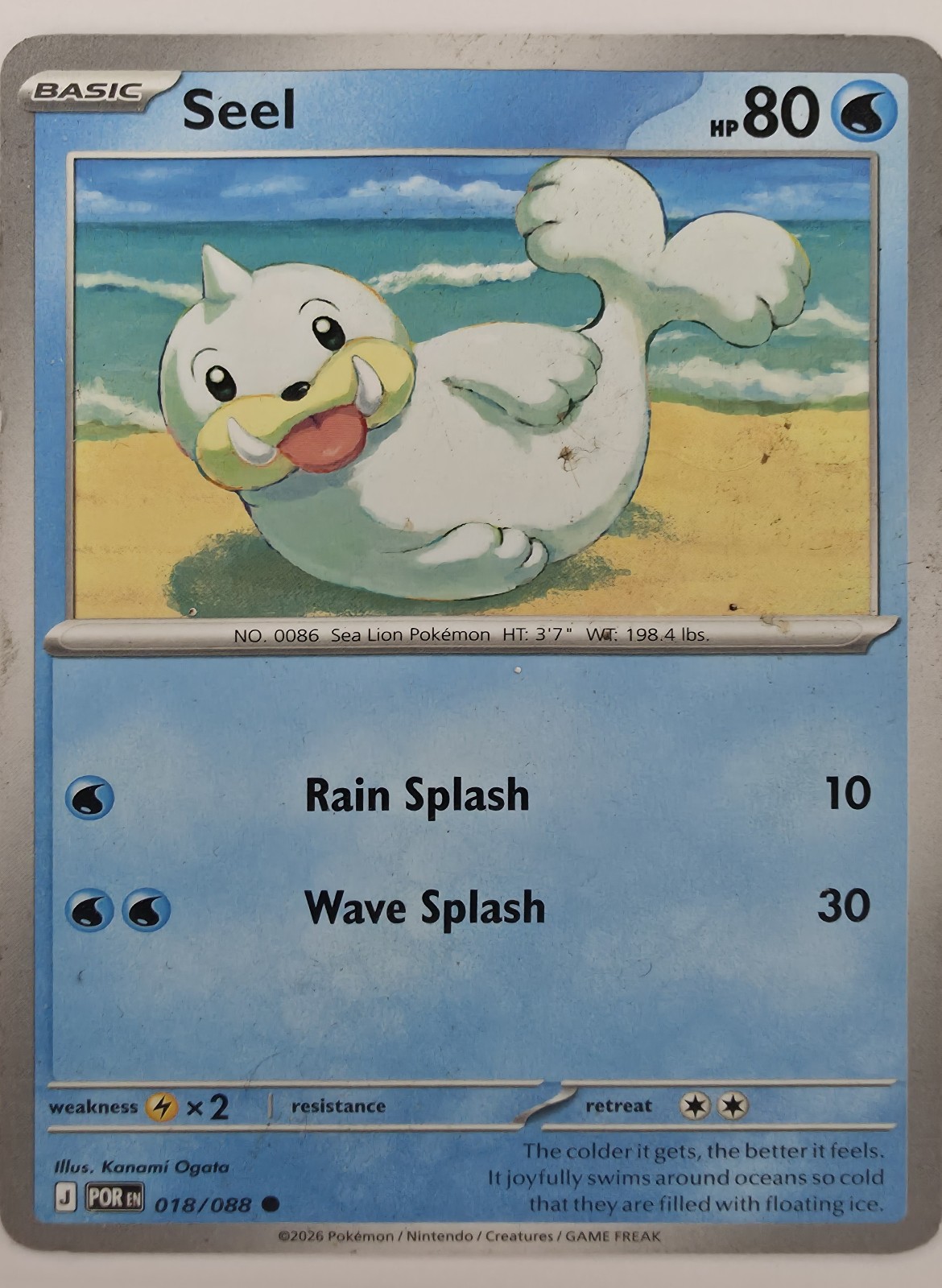Seel front