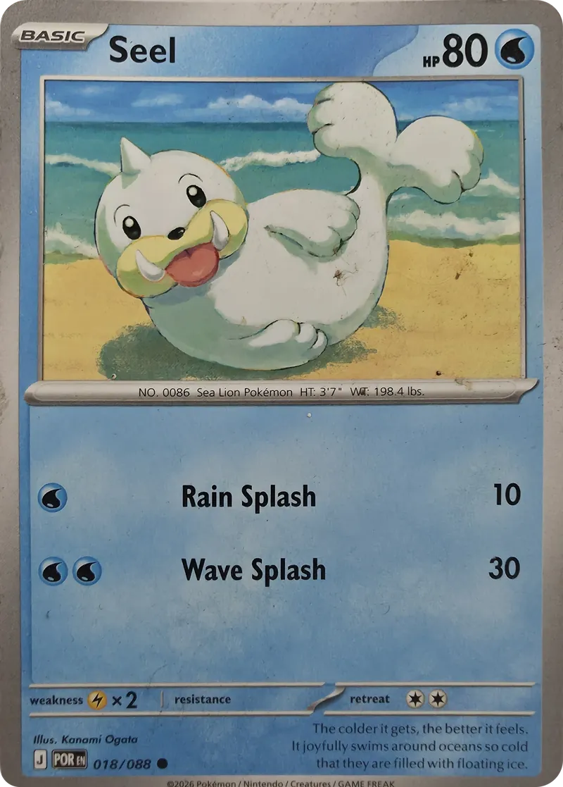 Seel front