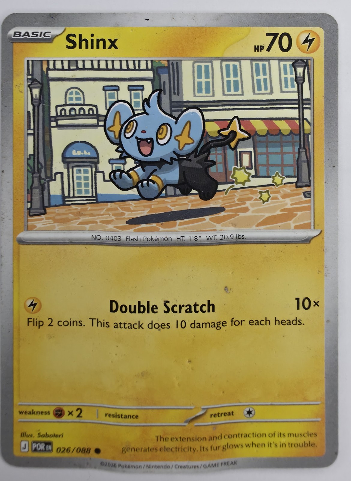 Shinx front