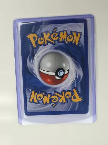 Steelix sleeved back