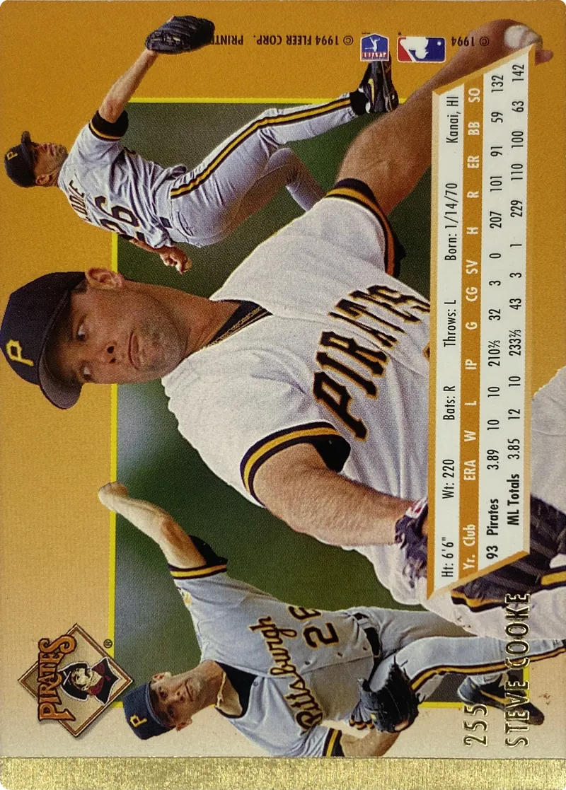Steve Cooke #255, back