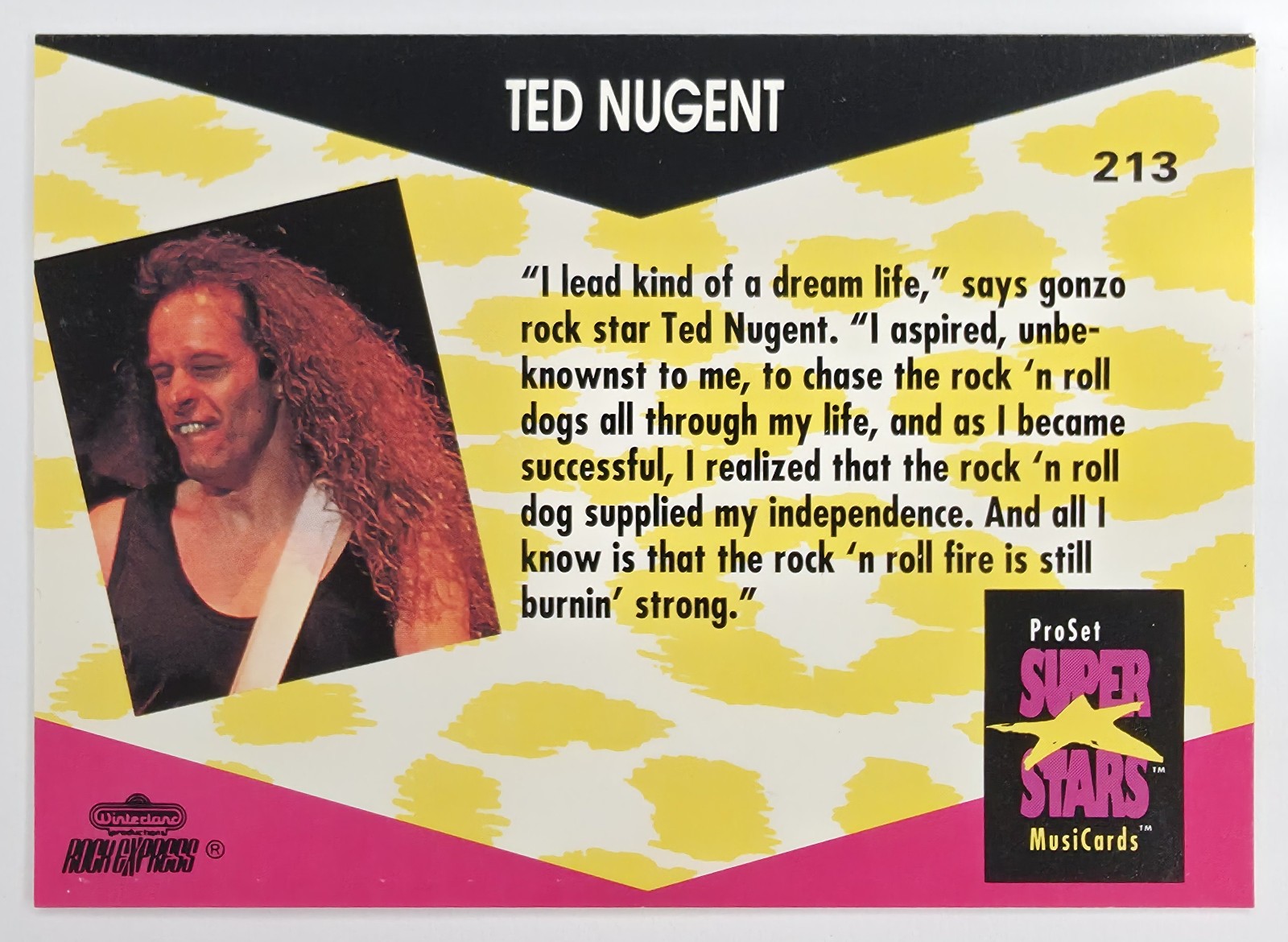 1991 Pro Set SuperStars MusiCards Ted Nugent #213 back