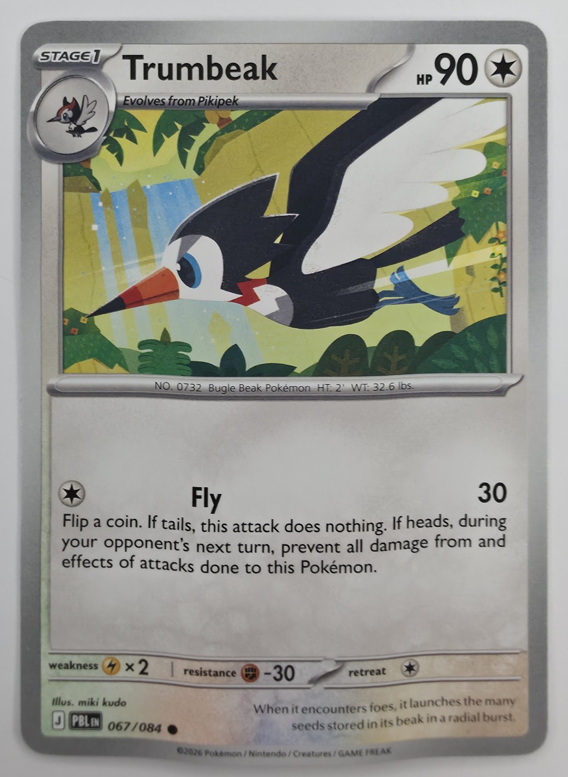 Trumbeak front