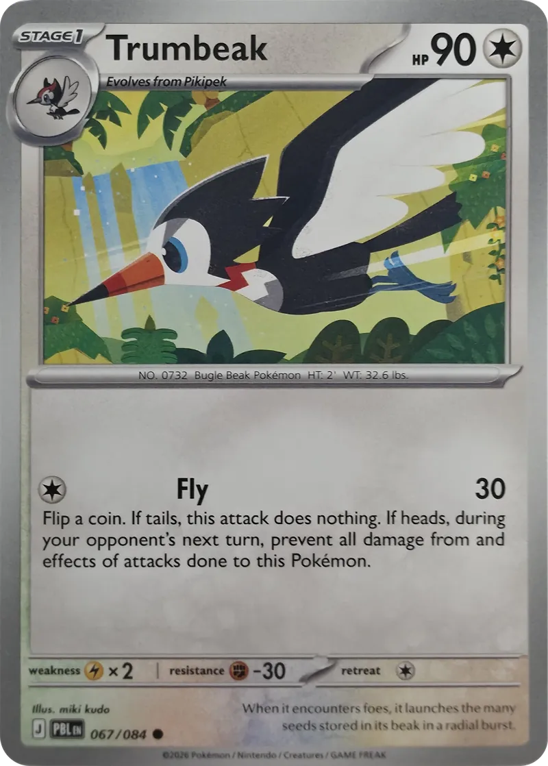 Trumbeak front