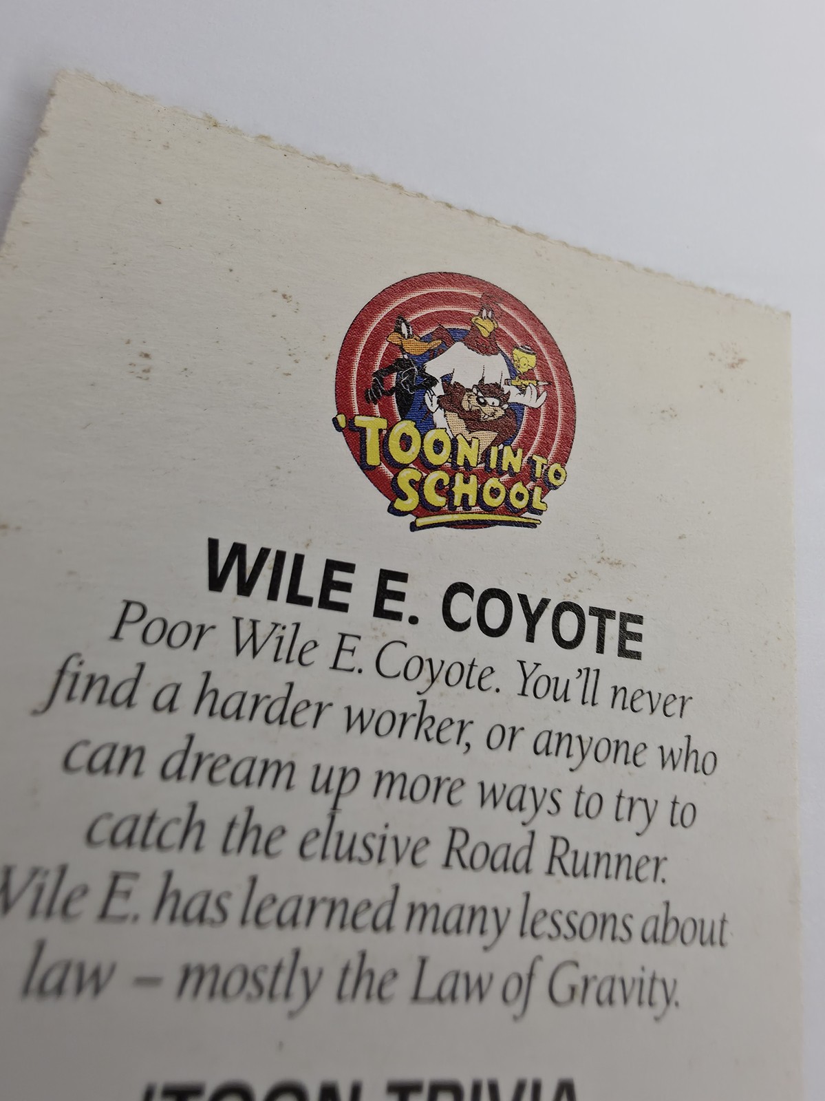 Wile E. Coyote 'Toon In To School card photo 8