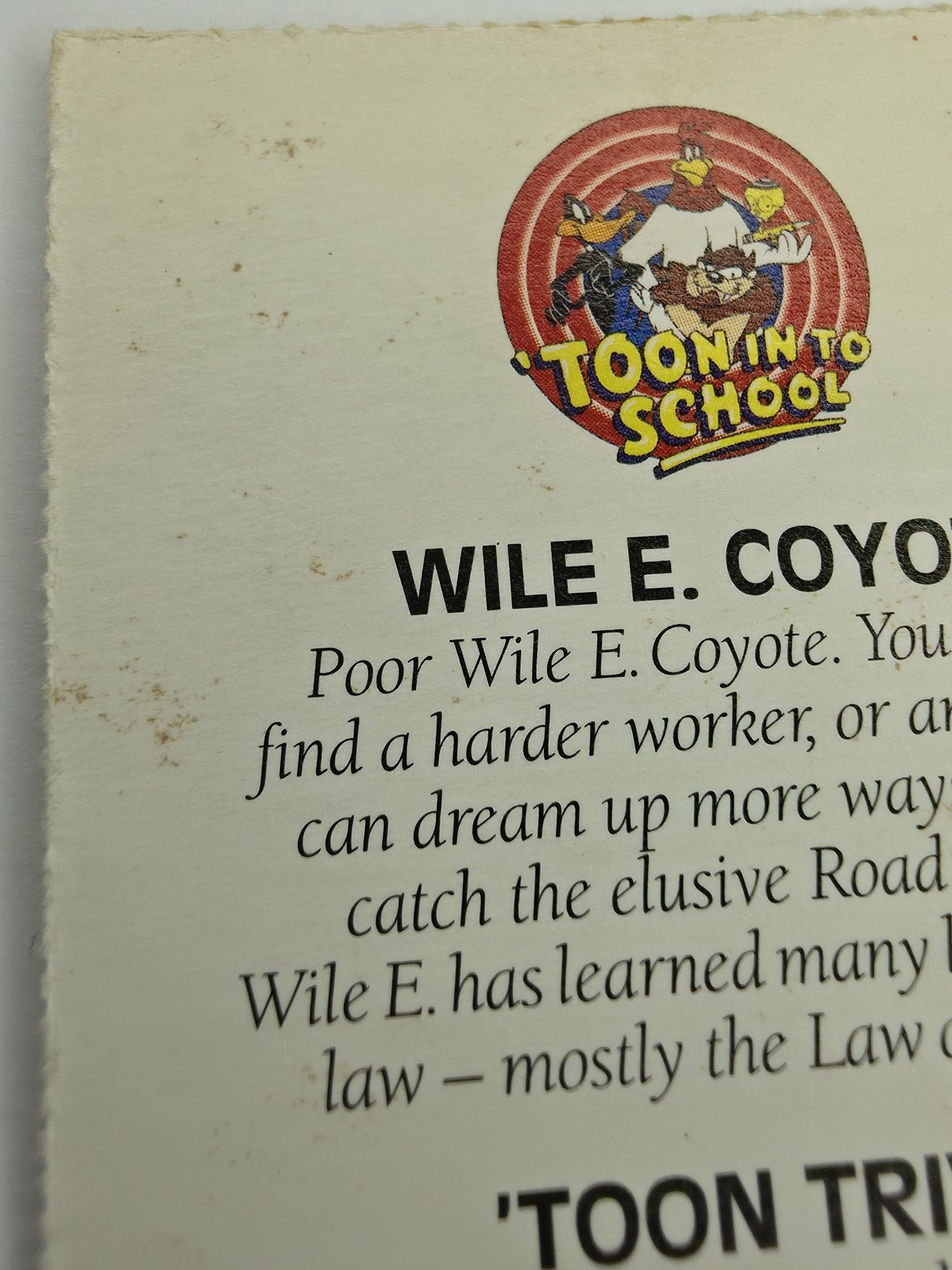 Wile E. Coyote 'Toon In To School card photo 7