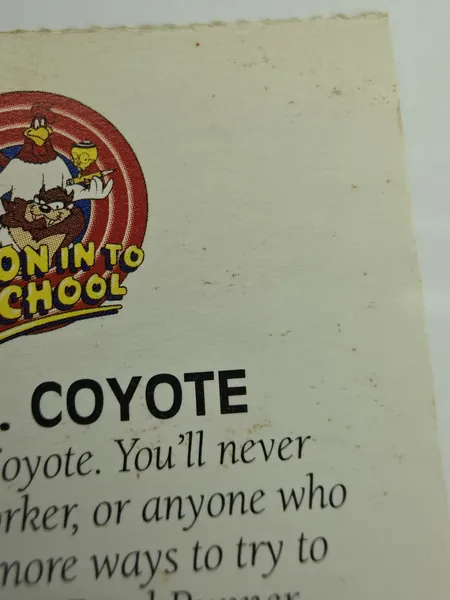 Wile E. Coyote 'Toon In To School card photo 8