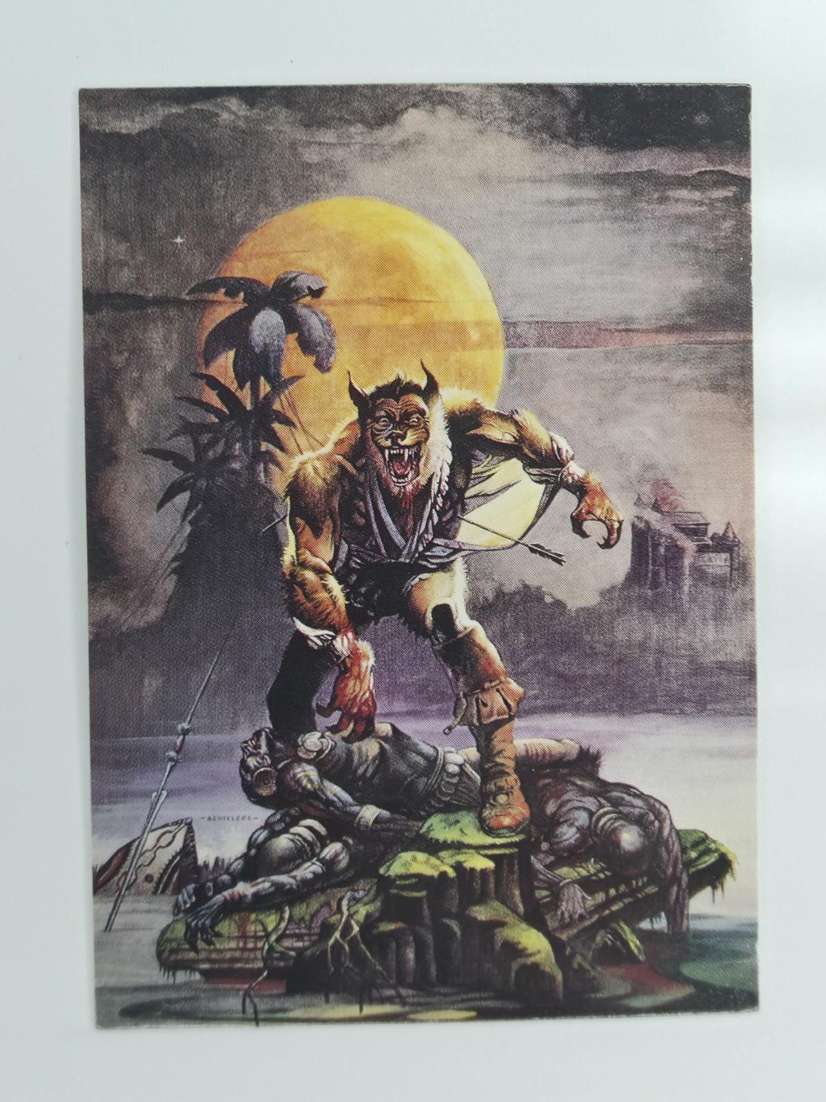 Wolfman #19 front