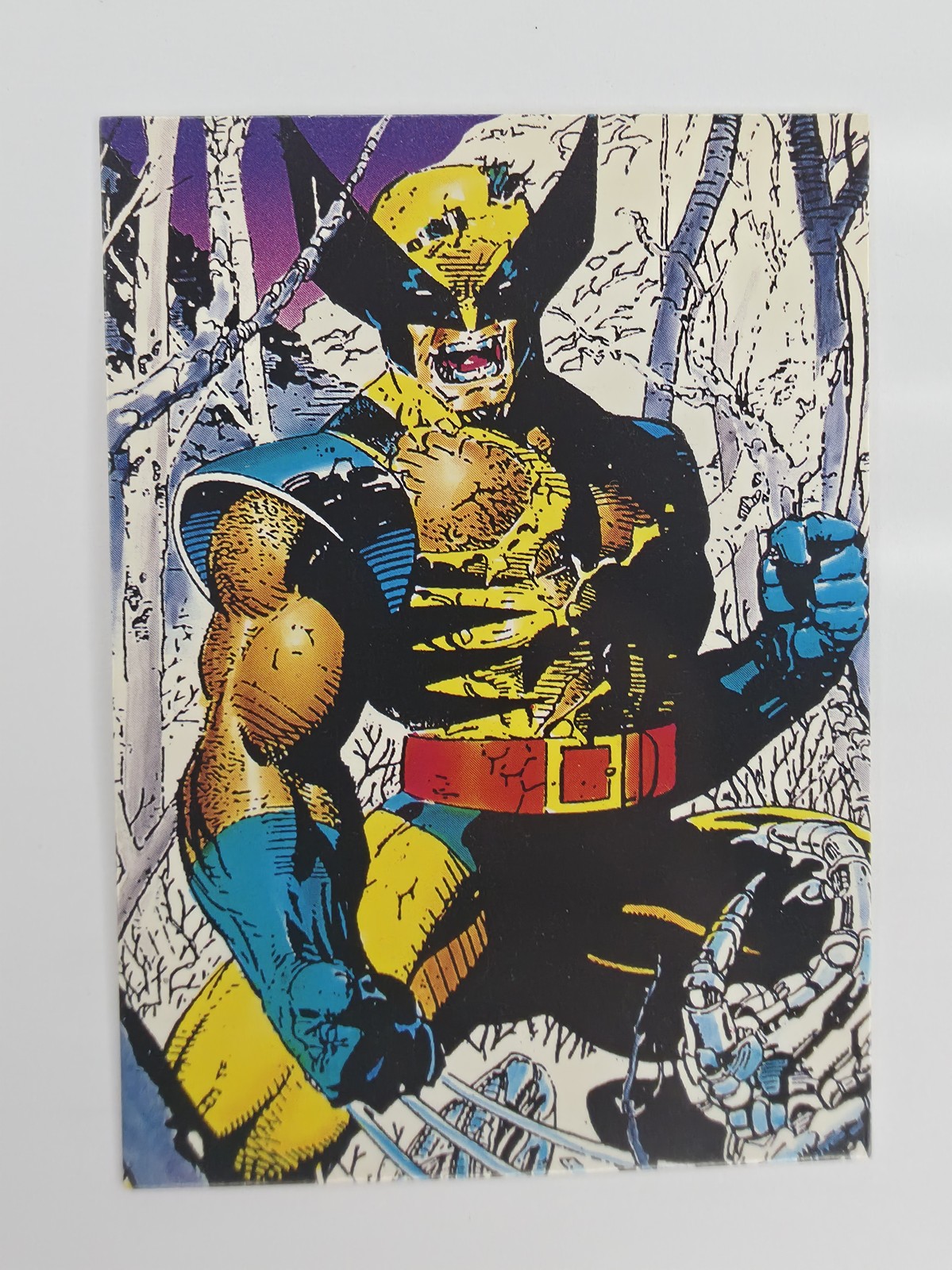 Wolverine front