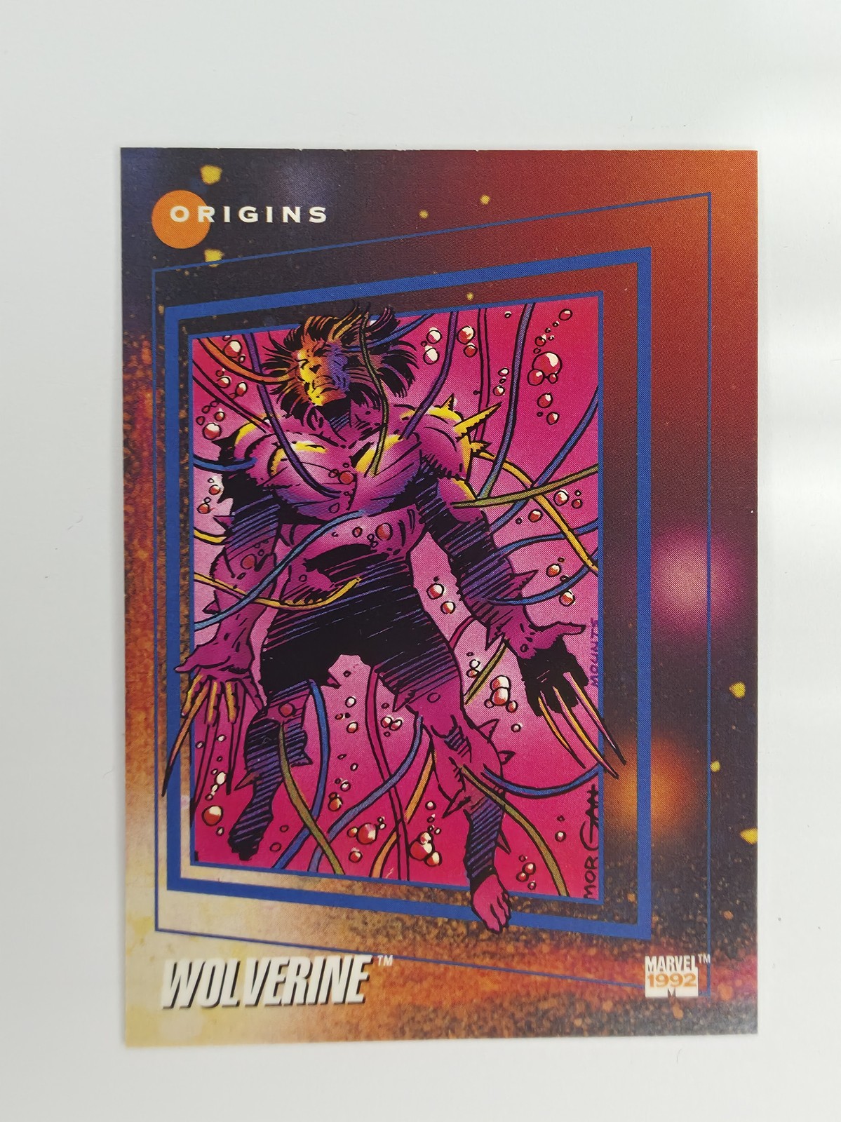Wolverine front