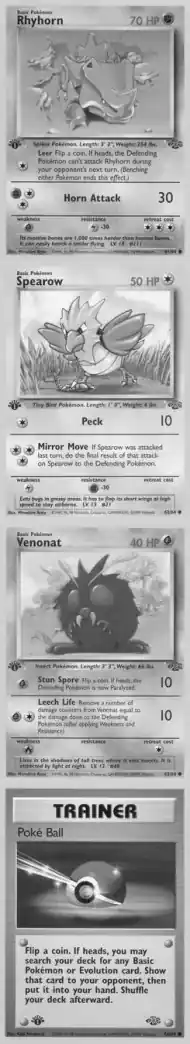 Rhyhorn, Jungle 61/64, reference picture